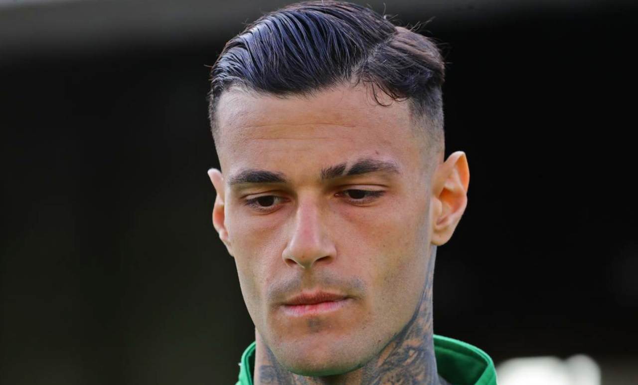 Scamacca