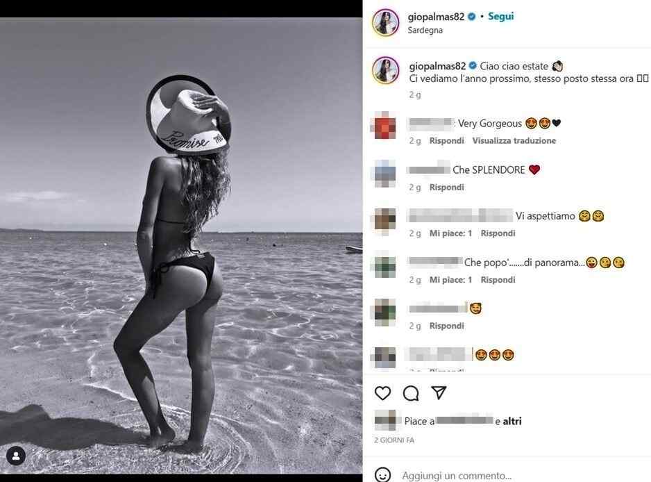 Palmas ig