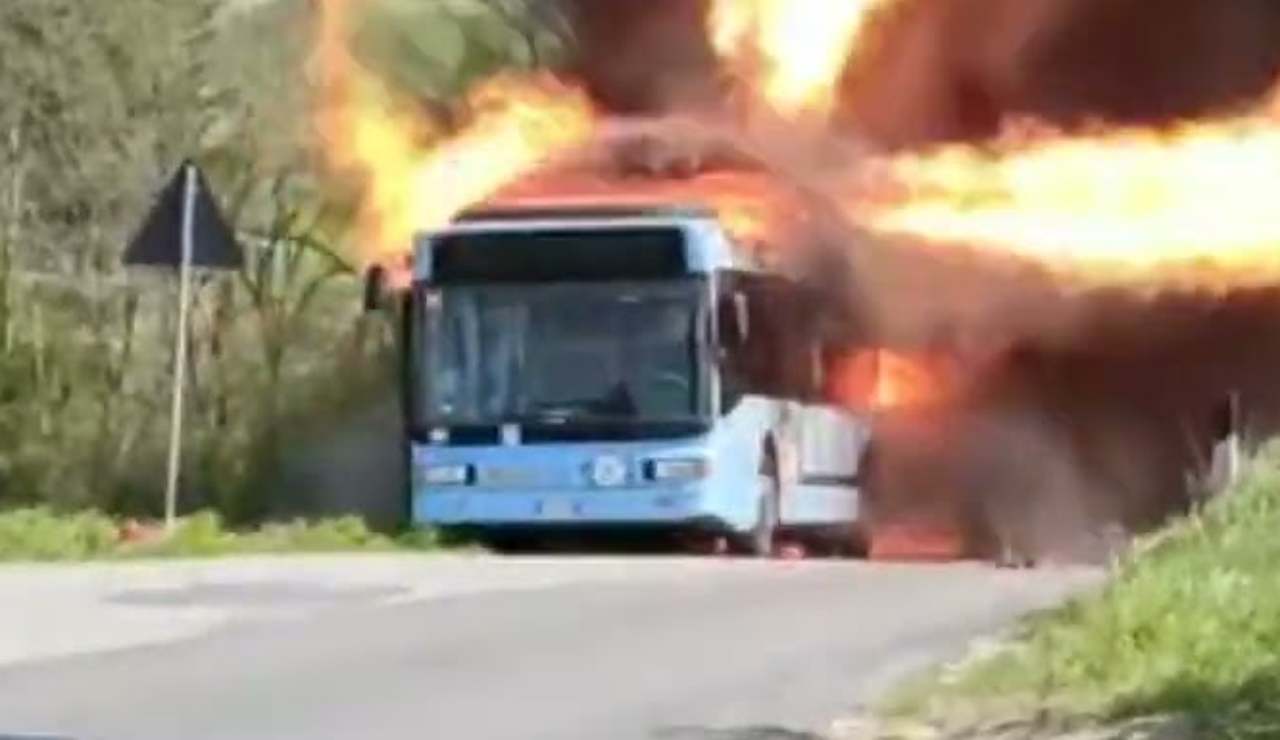 bus